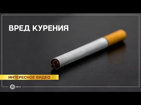 Видео: Вред курения!