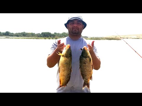 Видео: РЫБАЛКА В ТАДЖИКИСТАНЕ, САЗАН, РЕКА ВАХШ!(хорошие сазаны поймали) @otdih-Tajikistan