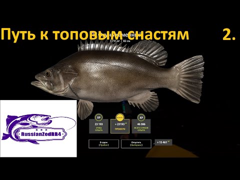 Видео: РР4.Норвежское море.Путь к топовой сборке Серия 2