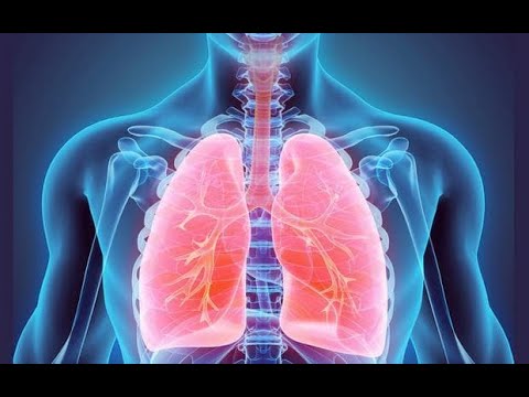 Видео: Дихателна система 2 - Дишане *