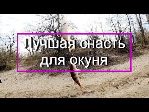 Видео: Лучшая снасть для окуня.