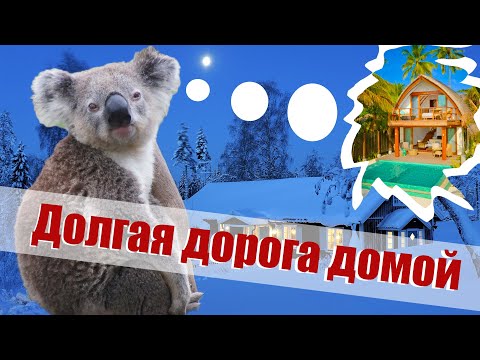 Видео: Как снять жилье в Австралии? Часть вторая, практическая