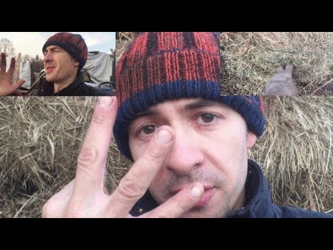 Видео: Три вида сена! Сколько нужно КОРОВАМ!