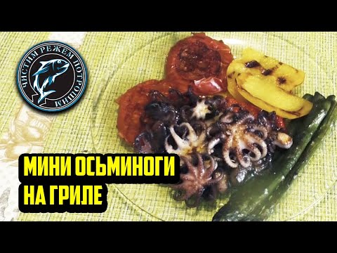 Видео: Маленькие  осьминожки  да гриле