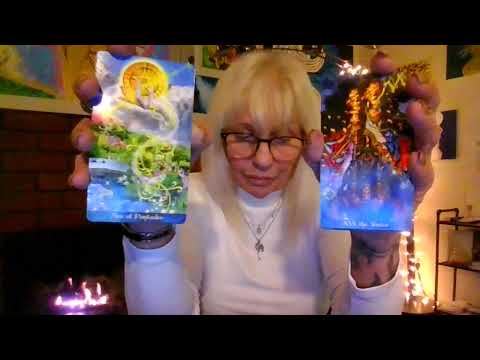 Видео: Рыбы. Они знают, что ты знаешь, и хотят, чтобы ты ушёл! Они хотят перейти на другую сторону прямо...