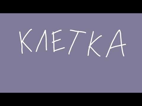 Видео: беги, дурак.