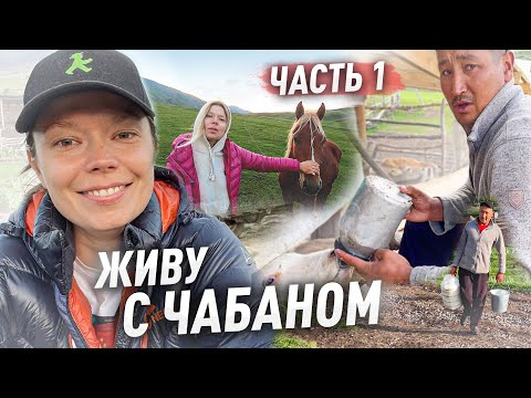 Видео: ЖИВУ С ЧАБАНОМ НА ДЖАЙЛОО! Кыргызстан! #vlog