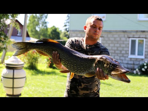 Видео: ЩУКА 8КГ В ТАНДЫРЕ. ШАШЛЫК ИЗ ЩУКИ