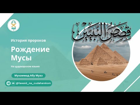 Видео: 18) Рождение Мусы