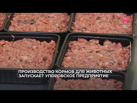 Видео: Производство кормов для животных запускает Упоровское предприятие