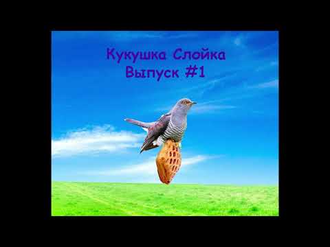 Видео: Кукушка Слойка #1 - Выпуск солянка
