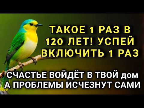 Видео: УСПЕЙ ВКЛЮЧИТЬ 1раз! СЧАСТЬЕ ВОЙДЁТ В ДОМ, А ПРОБЛЕМЫ ИСЧЕЗНУТ САМИ! Это Чудо 🔊🤲✨🔑💯