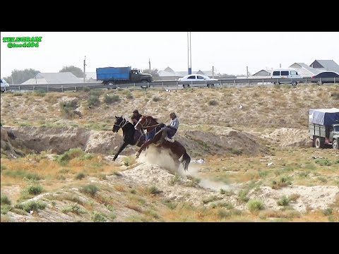 Видео: 29.09.2024 й Карши шахри Яахёо Домллани От Совтиш гаштак купкариси