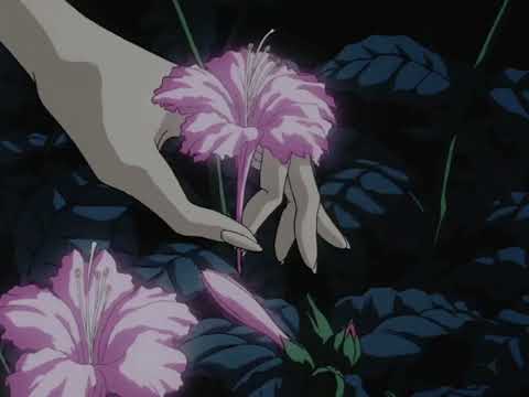 Видео: в последний раз ( 𝓯𝓸𝓻 𝓽𝓱𝓮 𝓵𝓪𝓼𝓽 𝓽𝓲𝓶𝓮) sped up