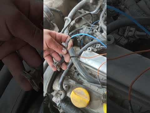 Видео: 8 сентября 2025 г.