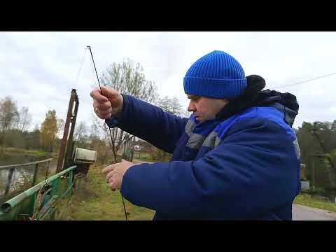 Видео: Деревенские будни.