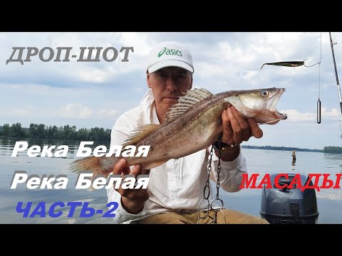 Видео: Масады часть -2 .Река Белая. 2025 г.