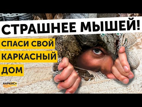 Видео: Они превратят ваш каркасный дом в РЕШЕТО. Как НЕ стоит делать коммуникации в каркасном доме