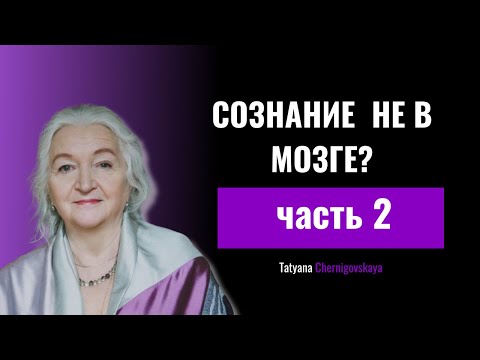 Видео: Почему мы не понимаем сознание? Мозг квантовая физика и тайна разума Часть 2 по Татьяне Черниговской