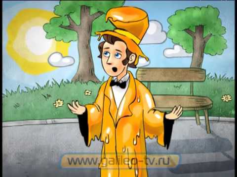 Видео: Галилео. Истории изобретений. Резина