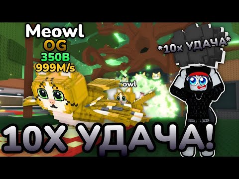 Видео: 🍀🦉АДМИН ДАЛ МНЕ 10X УДАЧУ и Я ПОЛУЧИЛ НОВОГО OG Meowl в Steal A Brainrot! ROBLOX