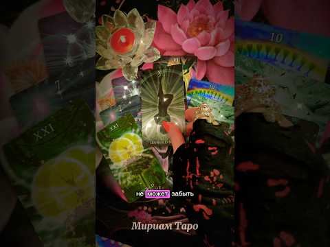 Видео: 3 минуты назад❗️КТО ЛЮБИТ ВАС ПО-НАСТОЯЩЕМУ⁉️ #мириамтаро #таро #tarot #гадание #tarotreading