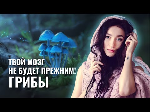 Видео: ШОКИРУЮЩАЯ Правда о Ченнелинге с Грибами!