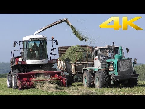 Видео: Комбайн ДОН-680М, тракторы Т-150К, МТЗ-80 - заготовка сенажа 2018