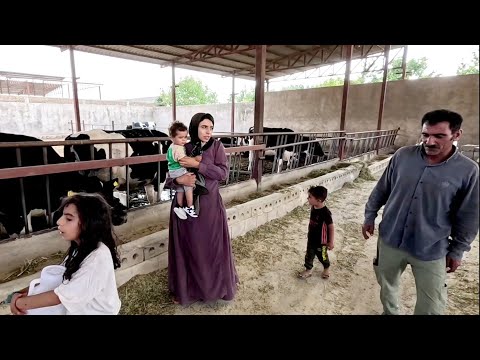 Видео: Что творится в голове у Тайбе? Купить коров, не достроив ферму!