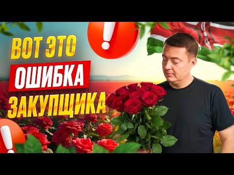 Видео: Как отличить настоящую премиум семёрку от обычной розы | Сорт Ever Red | Кения