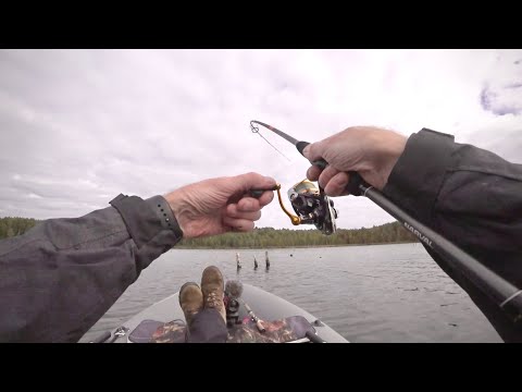 Видео: Я же теперь И спиннингист! Рыбалка с ночёвкой, Белоярка, день первый.