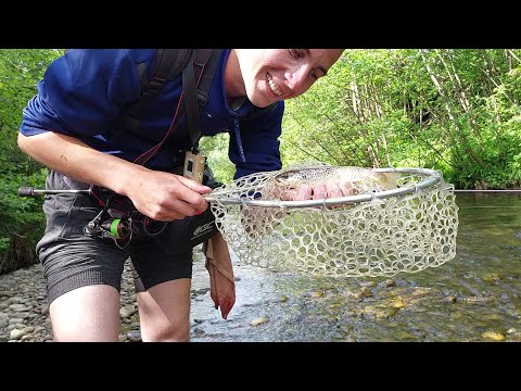 Видео: Я у шоці!!!, Форель клює як дика!!!! 42шт. Риболовля на гірській річці!