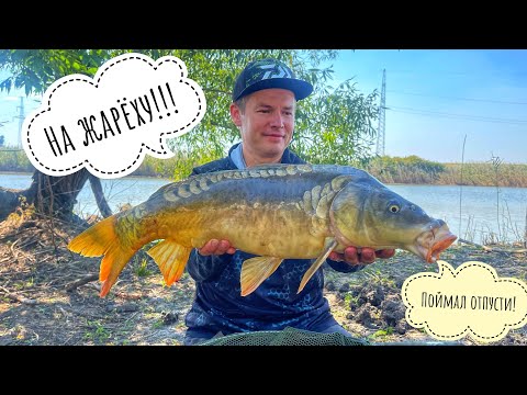 Видео: ЛОВЛЯ КАРПА В КОРЯЖНИКЕ! РЫБАЛКА НА ФЛЭТ!