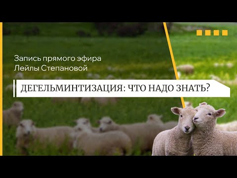 Видео: ДЕГЕЛЬМИНТИЗАЦИЯ ОВЕЦ: чем, когда и какие сложности ждут?