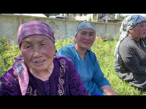 Видео: Талас: Курман айт – ынтымак менен биримдиктин майрамы. БАЛБАЛ АЙЫЛЫ 2022