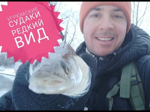 Видео: Спасение для спиннингистов г  Новосибирска р  Угрюмка, ловля судака, щуки
