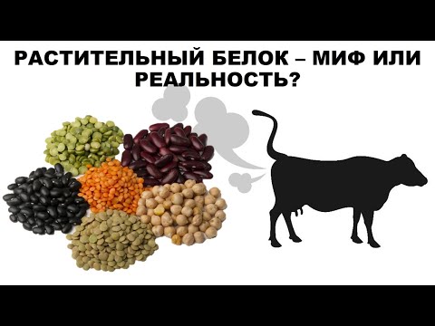 Видео: лекция: РАСТИТЕЛЬНЫЙ БЕЛОК – МИФ ИЛИ РЕАЛЬНОСТЬ?