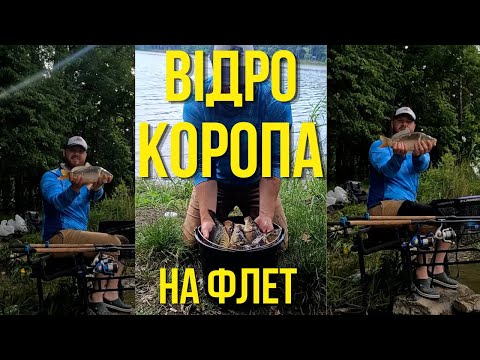 Видео: ВІДРО КОРОПА НА ФЛЕТ!!!! Як наловити коропа на ФЛЕТ ФІДЕР?