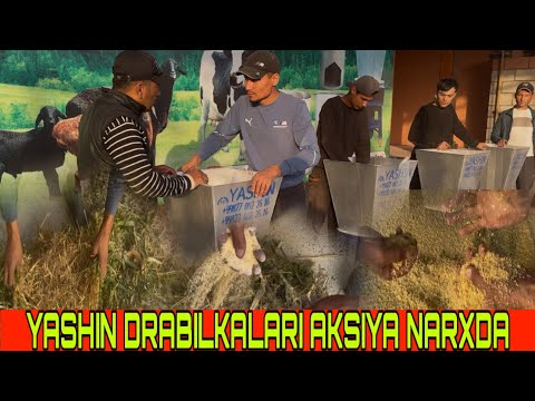 Видео: ДРАБИЛКА🐄НАРХЛАРИ КЕСКИН ТУШДИ👇УЙИЗГА🚛БЕПУЛ ОЛИП БОРИП БЕРИЛАДИ