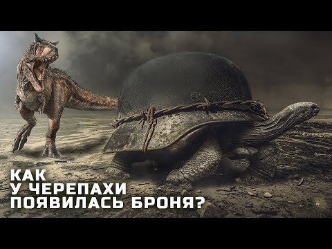 Видео: Полная Эволюция Черепах и Как их Предки Получили Броню?
