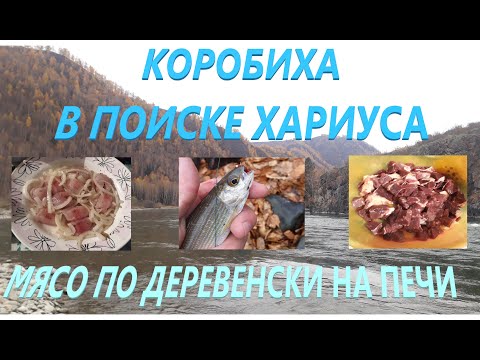 Видео: Рыбалка на Хариуса р. Бухтарма / Мясо по Деревенски на Печи