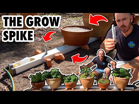 Видео: Гидропонная система Grow Spike