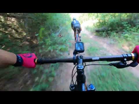 Видео: ЛЯСТОВИЦИ И КОСТЕНУРКИ РАЗКЪРТВАМЕ ТРАСЕТО ХСМ ОБЩИНА КАЗАНЛЪК 2024