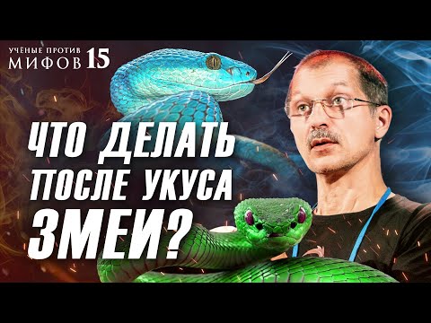 Видео: Встреча со змеей: 10 вредных советов. Ученые против мифов 15-8. Евгений Рыбалтовский