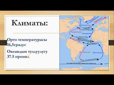 Видео: Атлантика океаны