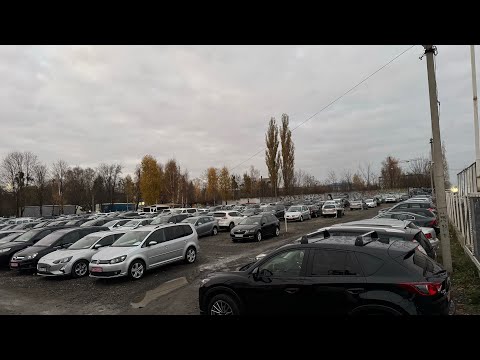 Видео: Авторинок Луцьк огляд авто і ціни, різні варіанти 🚙🔥🚗 @Avtostvol