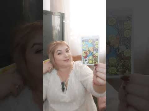 Видео: 6 ноября 2025 г.