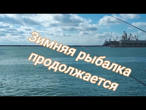 Видео: Туапсе 05.02.2022 набережная: погода благоволит зимней рыбалке.