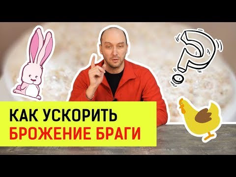 Видео: Как ускорить брожение браги? Очень разные способы 😊