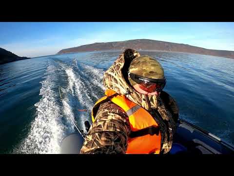 Видео: Закрытие водномоторного сезона 2023